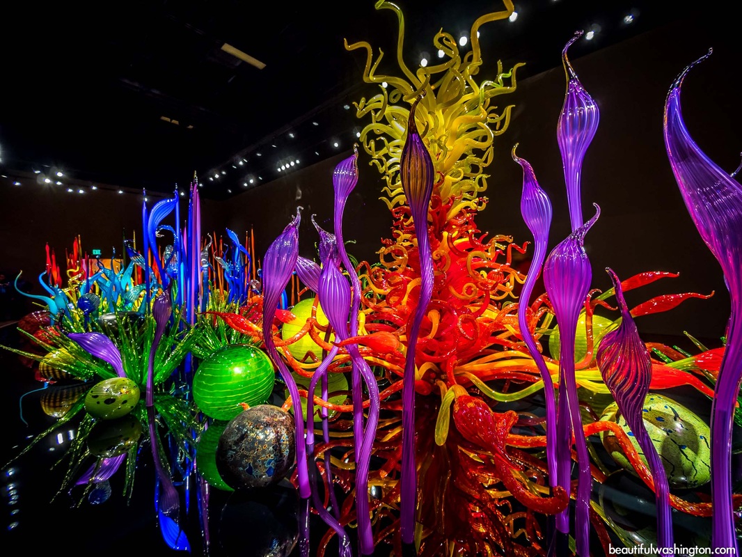 Dale Chihuly Our Site